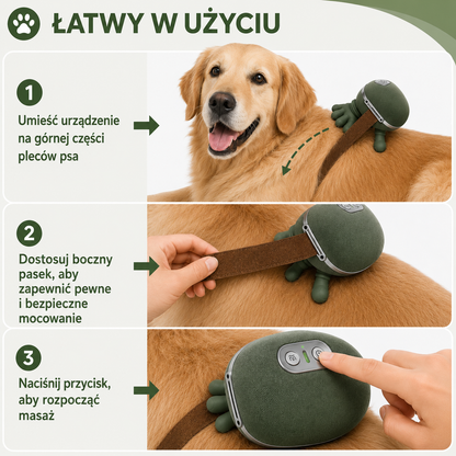 Elektryczny Masażer 4D do Ciała